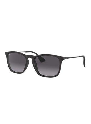 Ray-Ban Chris RB4187 Sunglasses - AED 310 on Noon, 66% Cheaper Than Other UAE Stores